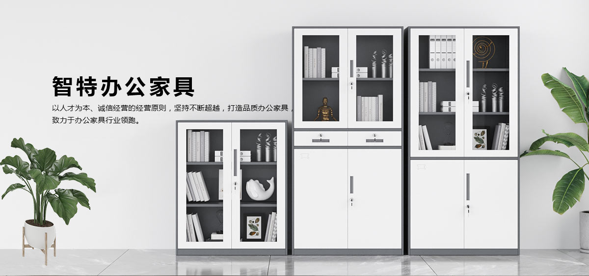 套色文件柜、文件柜、書(shū)架、密碼柜、貨架、鐵皮柜、工具柜、保密柜、智能柜、電子存包柜