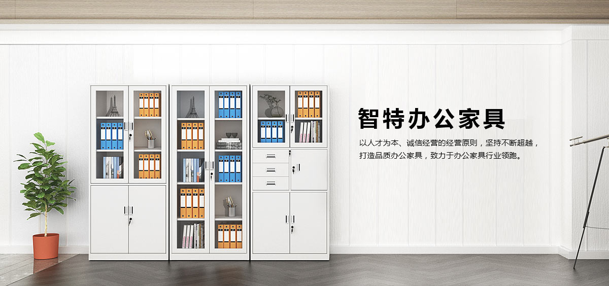 套色文件柜、書(shū)架、貨架、文件柜、工具柜、密碼柜、智能柜、鐵皮柜、保密柜、電子存包柜